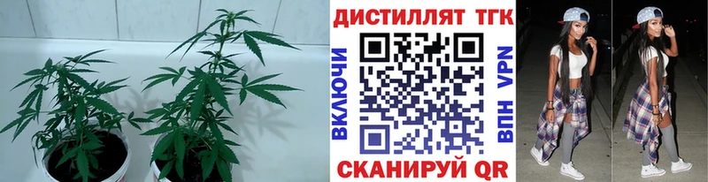 дарк нет формула  Вельск  ТГК Wax 